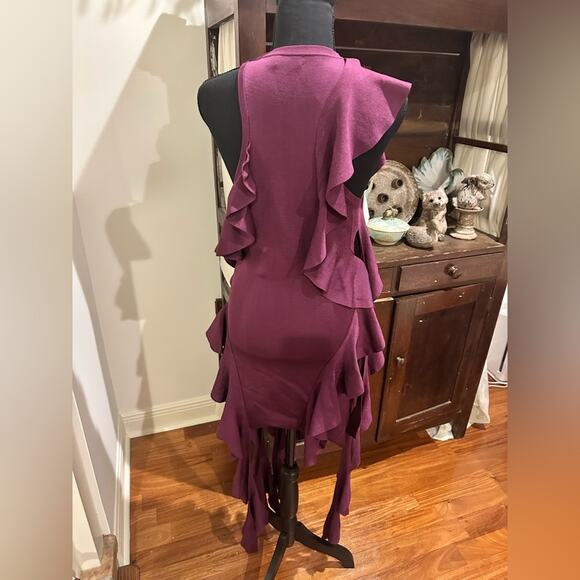SIMKHAI Wilda Ruffle Dress - Picture 8 of 10